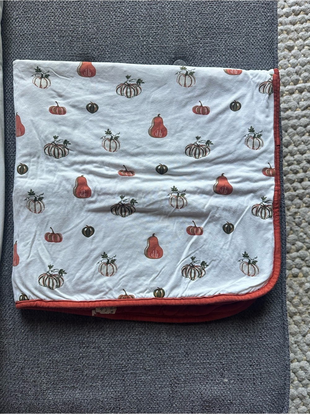 Kyte BABY White Pumpkin Baby Blanket